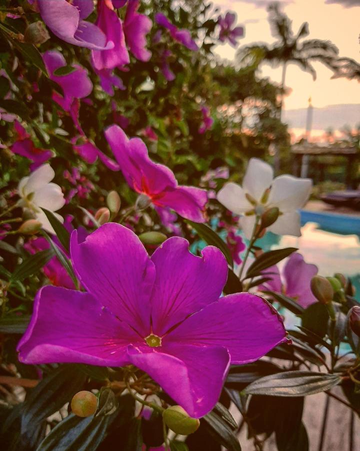 Villa Josefa - Chale Completo Com Piscina E Churrasqueira Praia do Rosa Dış mekan fotoğraf