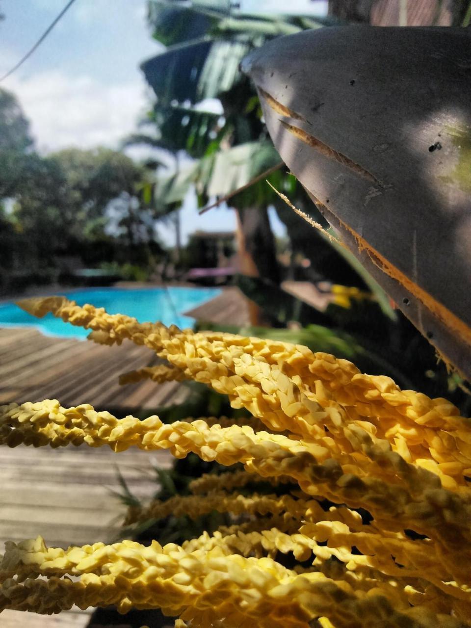 Villa Josefa - Chale Completo Com Piscina E Churrasqueira Praia do Rosa Dış mekan fotoğraf